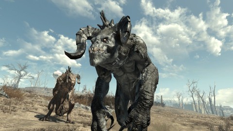 Fallout