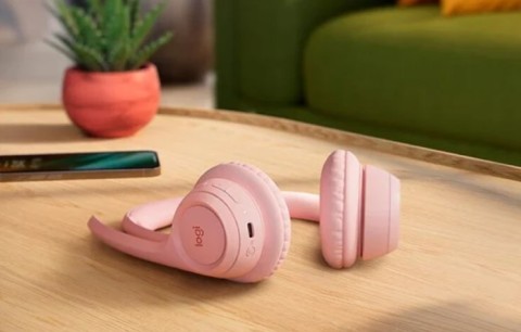 Logitech ZONE 300