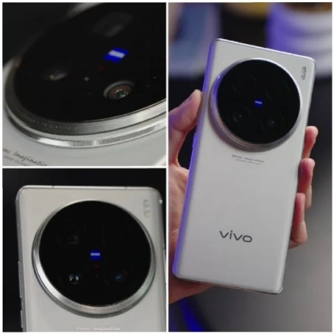 vivo