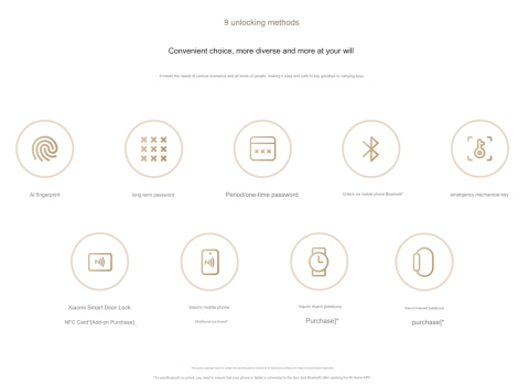 Xiaomi Smart Door Lock E30